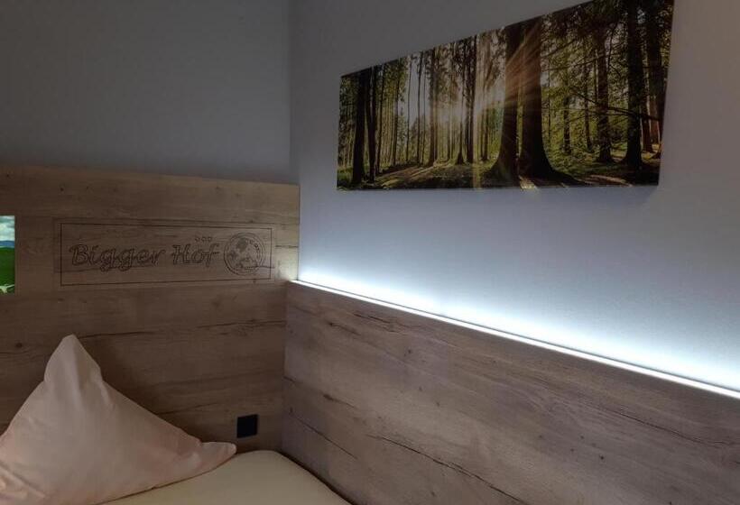 싱글 디럭스 룸, Bigger Hof   Wirtshaus Platzhirsch Am Jahnplatz