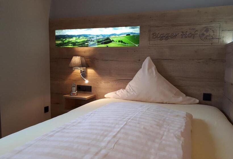 Номер Deluxe Одноместный, Bigger Hof   Wirtshaus Platzhirsch Am Jahnplatz