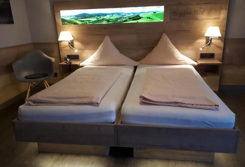 디럭스 룸, Bigger Hof   Wirtshaus Platzhirsch Am Jahnplatz