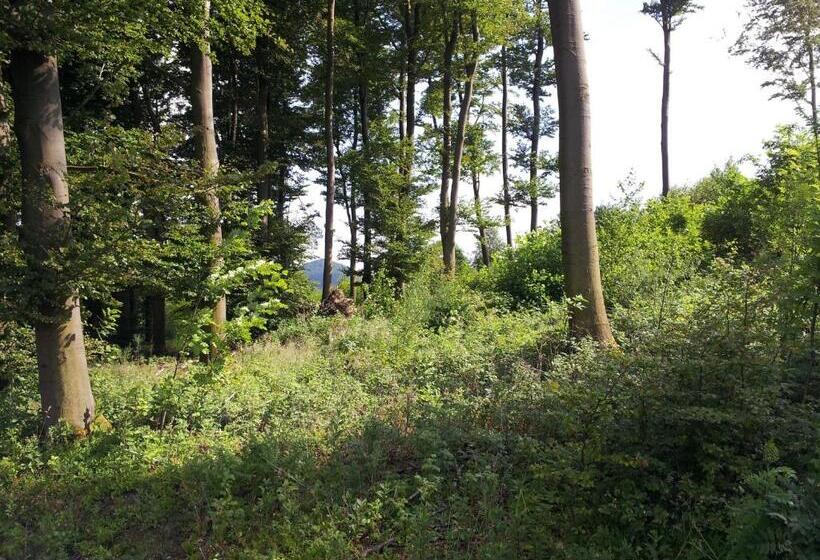 스탠다드 룸, Bigger Hof   Wirtshaus Platzhirsch Am Jahnplatz