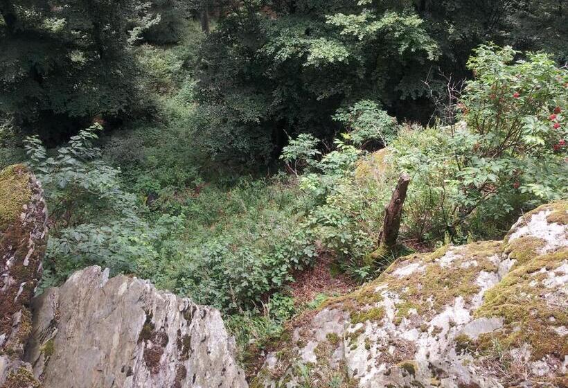 스탠다드 룸, Bigger Hof   Wirtshaus Platzhirsch Am Jahnplatz