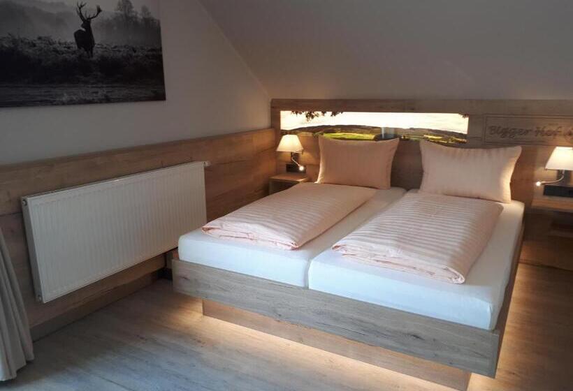 주니어 스위트 발코니, Bigger Hof   Wirtshaus Platzhirsch Am Jahnplatz