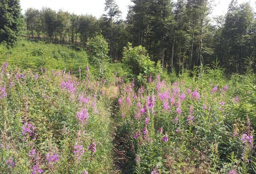 스탠다드 룸, Bigger Hof   Wirtshaus Platzhirsch Am Jahnplatz