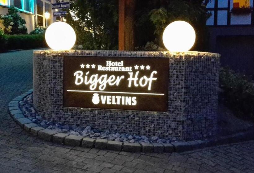 Номер Стандарт, Bigger Hof   Wirtshaus Platzhirsch Am Jahnplatz