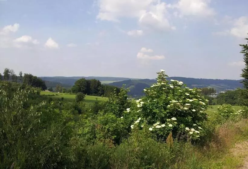 スタンダードルーム, Bigger Hof Wirtshaus Platzhirsch Am Jahnplatz