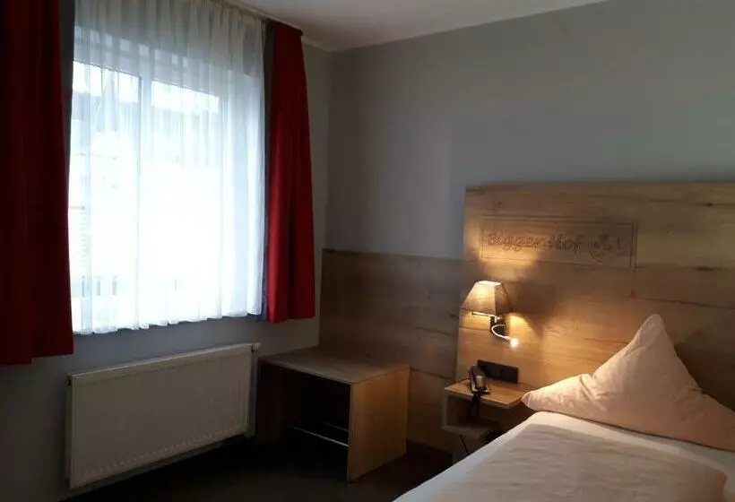 スタンダードシングルルーム, Bigger Hof Wirtshaus Platzhirsch Am Jahnplatz