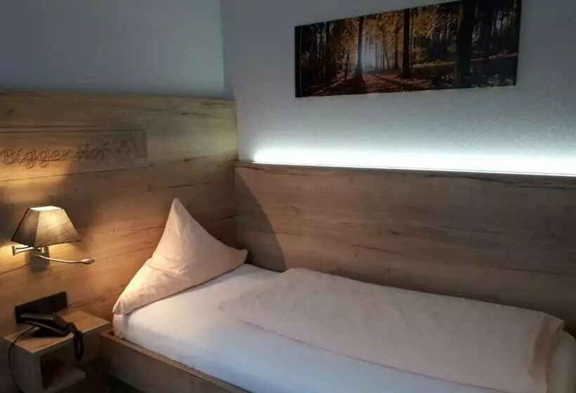 スタンダードシングルルーム, Bigger Hof Wirtshaus Platzhirsch Am Jahnplatz