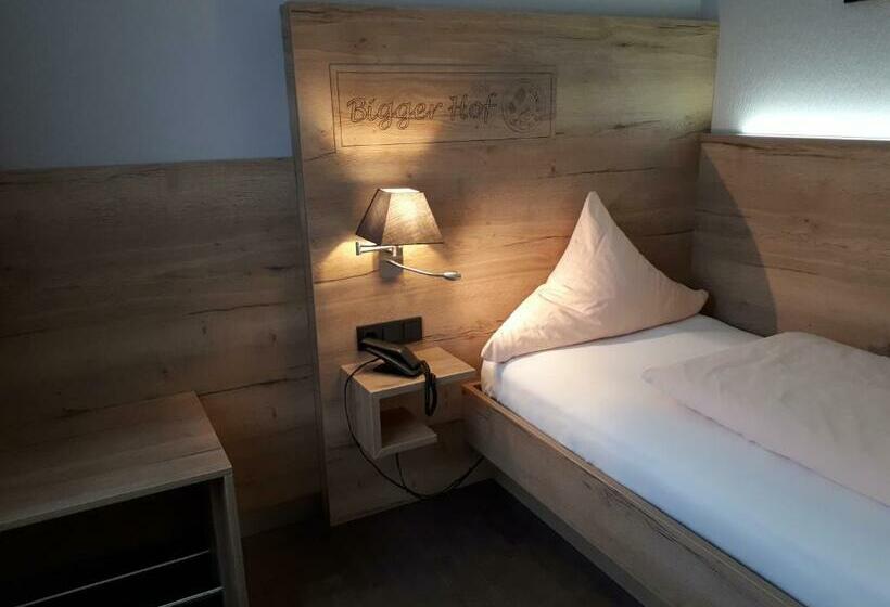 스탠다드 싱글 룸, Bigger Hof   Wirtshaus Platzhirsch Am Jahnplatz