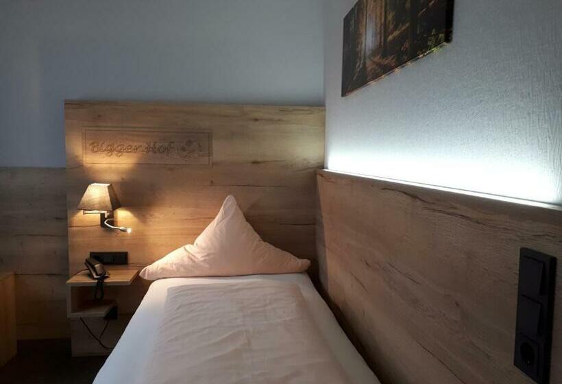 스탠다드 싱글 룸, Bigger Hof   Wirtshaus Platzhirsch Am Jahnplatz