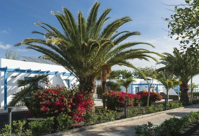 スイート, Elba Premium Suites  Adults Only