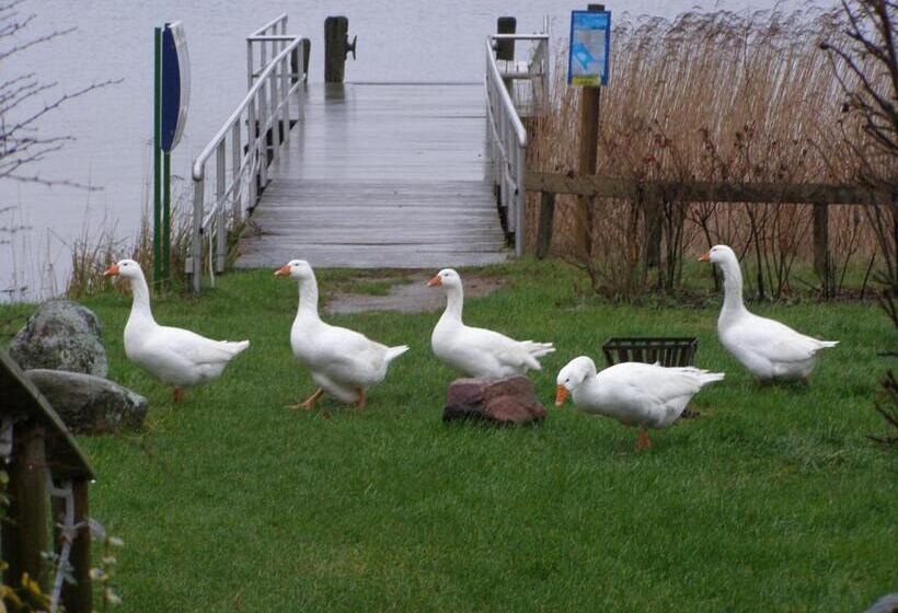 شقة أساسية غرفة واحدة, Fährhaus Niederkleveez