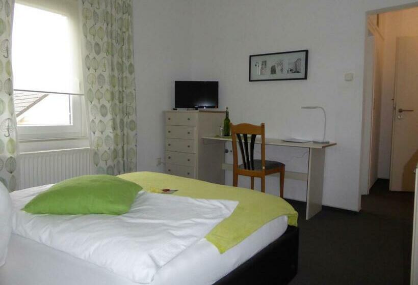 Standard Single Room, Garni Tell