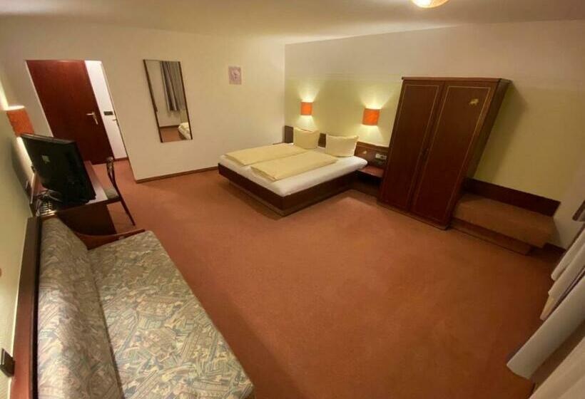 スタンダードルーム, Traditionshotel Goldener Löwe