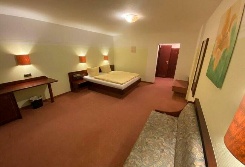 Номер Стандарт, Traditionshotel Goldener Löwe