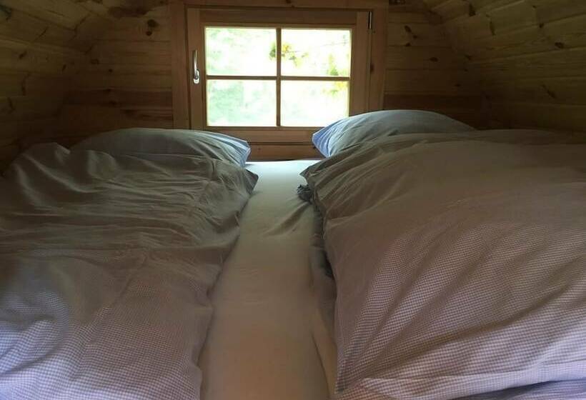 스탠다드 싱글 룸, Landgut Jungfleisch