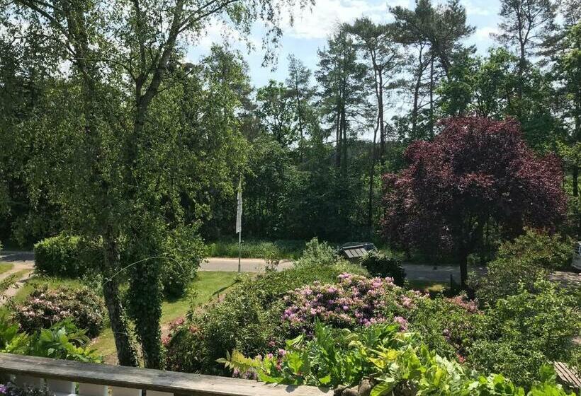 Апартаменты 1 Спальня с Балконом, Landhaus Calluna