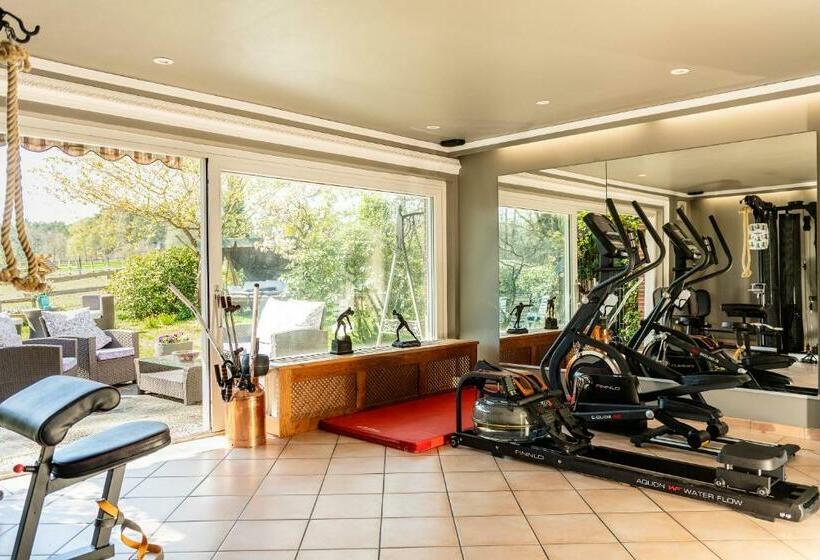 Апартаменты 1 Спальня с Террасой, Landhaus Calluna