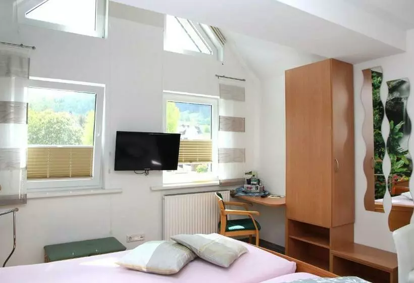 Standard-huone, Pension Und Ferienwohnungen Schweinsberg