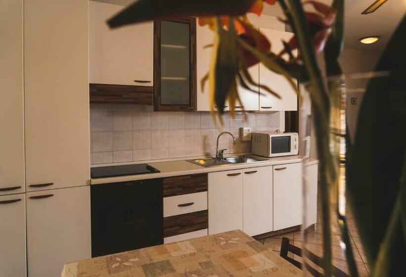 带1个卧室的公寓, Residence Desiree