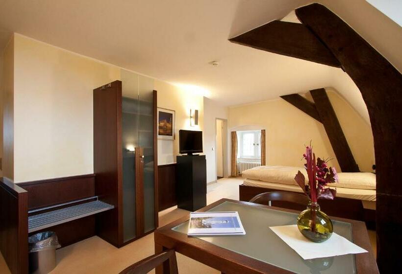 חדר סטנדרט יחיד, Schloss Raesfeld