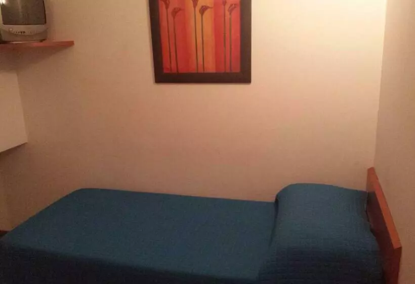 اتاق استاندارد یک نفره, Softwood
