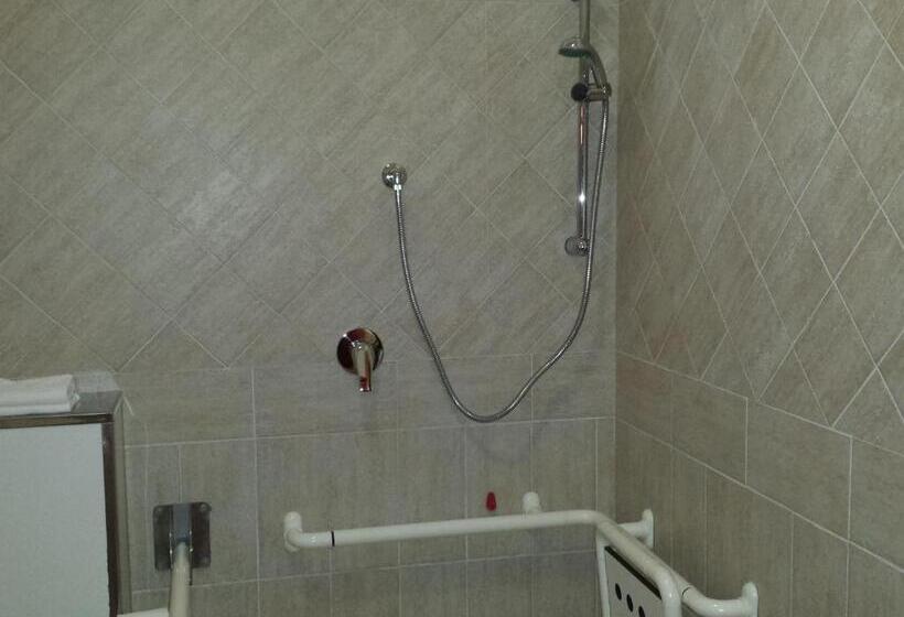 适合残疾人使用的标准间, Softwood