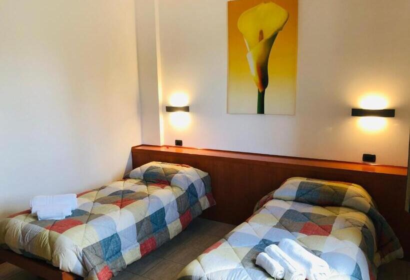 适合残疾人使用的标准间, Softwood