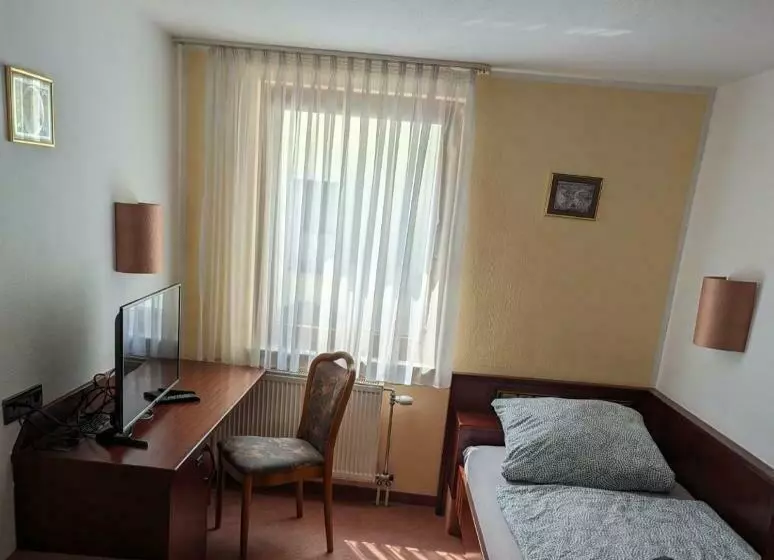 スタンダードシングルルーム, Traditionshotel Goldener Löwe