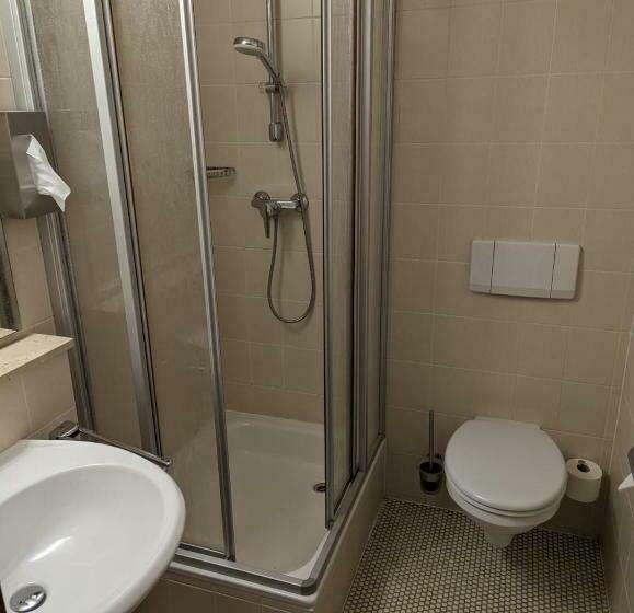 スタンダードルーム, Traditionshotel Goldener Löwe