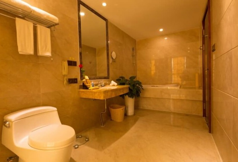 اتاق لوکس, Chengdu Gaoyi