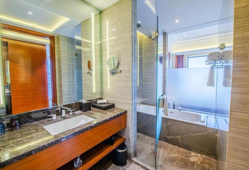 Номер Deluxe Одноместный, Grand Skylight International Hotel Wuhai