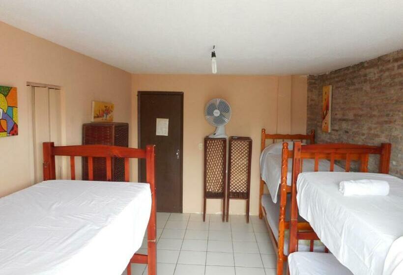 共用房间的床, Pousada Terra Nossa