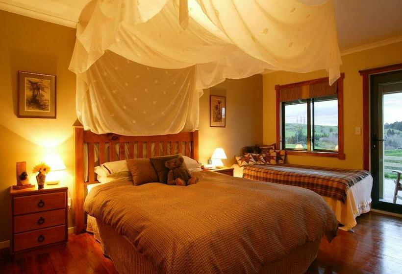 스탠다드 룸, Abseil Inn