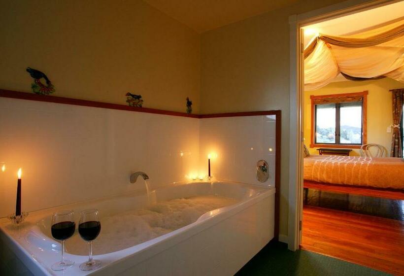 스탠다드 룸, Abseil Inn