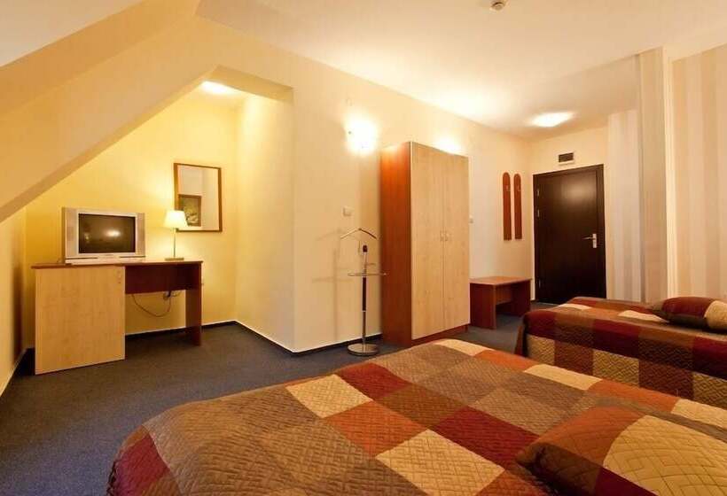 غرفة قياسية, Cheap