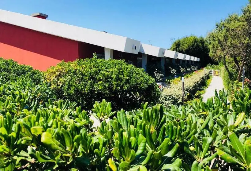 اتاق استاندارد, Club Esse Sporting