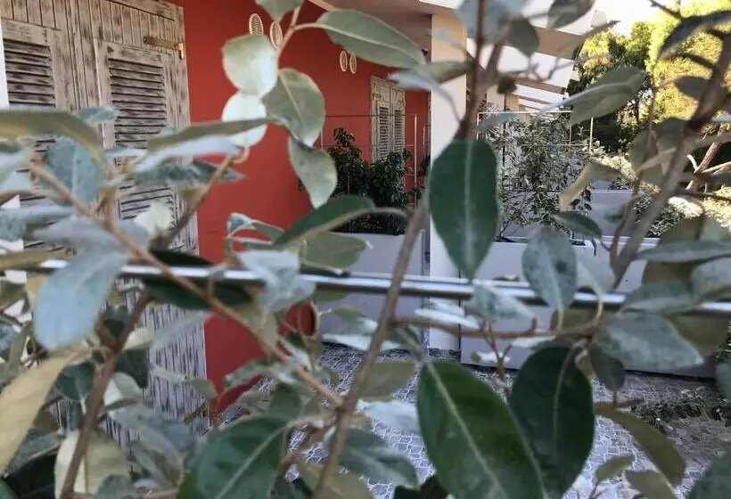 اتاق استاندارد, Club Esse Sporting