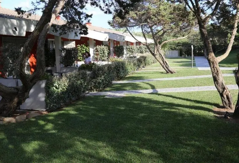 اتاق استاندارد, Club Esse Sporting