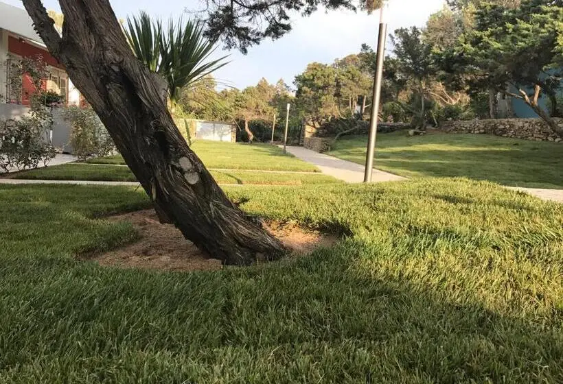 اتاق استاندارد چهار تخته, Club Esse Sporting