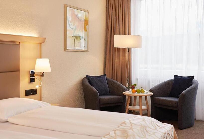 マウンテンビュースタンダードルーム, Eibsee