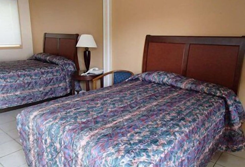 디럭스 룸, Flamingo Inn