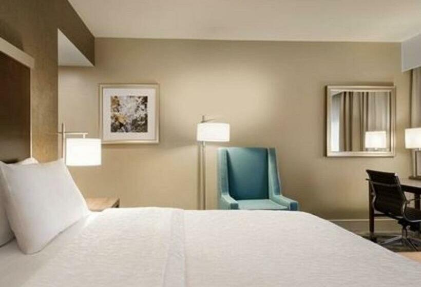 适合残疾人士使用的带超级大床的标准间, Hampton Inn Elko