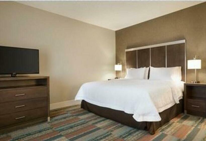 带大床的标准间, Hampton Inn Elko