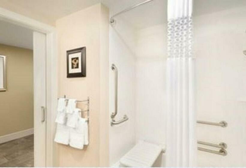 适合残疾人士使用的带超级大床的标准间, Hampton Inn Elko