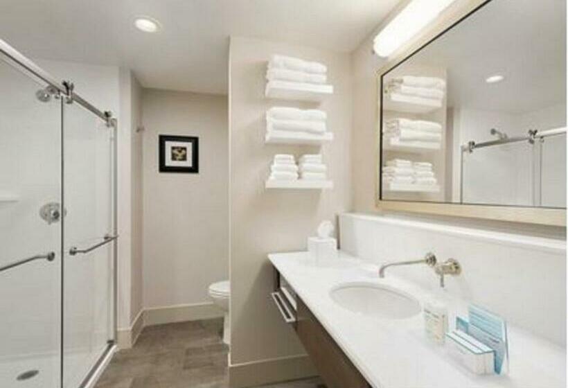 带大床的标准间, Hampton Inn Elko