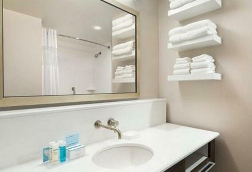 带大床的标准间, Hampton Inn Elko