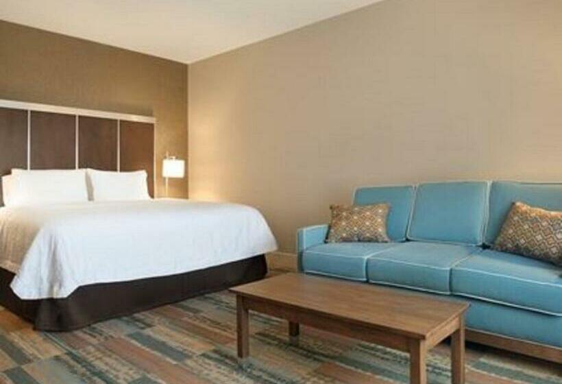 اتاق استاندارد با تخت بزرگ, Hampton Inn Elko