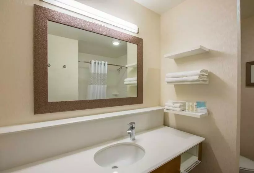キングサイズベッドのデラックススイート, Hampton Inn & Suites Phoenix East Mesa