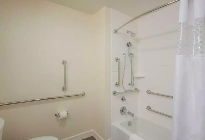 身障者適用キングサイズベッドルーム, Hampton Inn & Suites Phoenix East Mesa