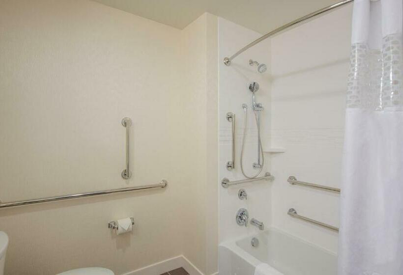 اتاق استاندارد برای معلولان, Hampton Inn & Suites Phoenix East Mesa